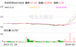 暴涨超200%！12连板大牛股提示风险