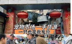 中山附近的宠物市场，中山附近的宠物市场在哪里