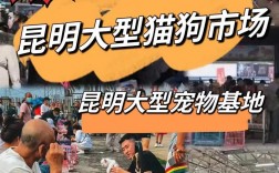 昆明宠物用品市场，昆明宠物用品市场在哪里