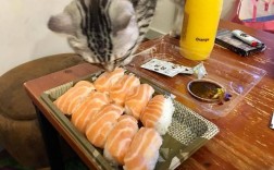 猫能不能吃宠物零食的寿司:猫咪可以吃寿司鱼籽吗