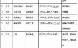 宠物市场投融资:宠物市场投融资方案