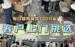 河南哪里宠物市场便宜，河南哪里宠物市场便宜又好