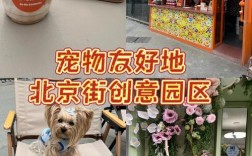 天坛附近宠物市场:天坛让带狗吗