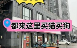 同城附近宠物市场天津，天津宠物交易市场在哪