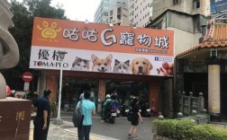 去台湾宠物市场:台湾宠物店