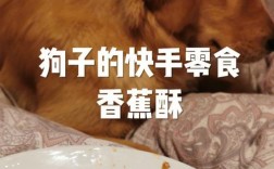 金毛宠物零食:金毛宠物零食怎么做
