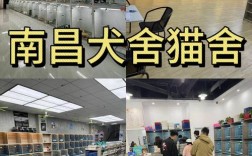 南昌宠物市场排名:南昌最大的宠物店