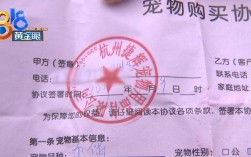 宠物用品收据模板:宠物用品发票怎么开