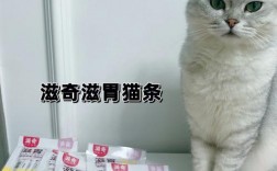 宠物零食鲜猫条:猫咪零食猫条可以每天吃吗