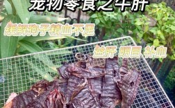 宠物牛肝小零食:牛肝如何做给猫吃