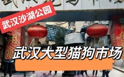 武汉港有宠物市场，武汉港有宠物市场吗