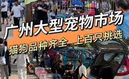 东乡宠物市场人气推荐，东乡哪里有宠物市场