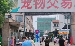 宜兴最大的宠物市场，宜兴最大的宠物市场在哪里