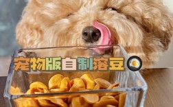 宠物自制零食做法大全:宠物自制零食做法大全图片