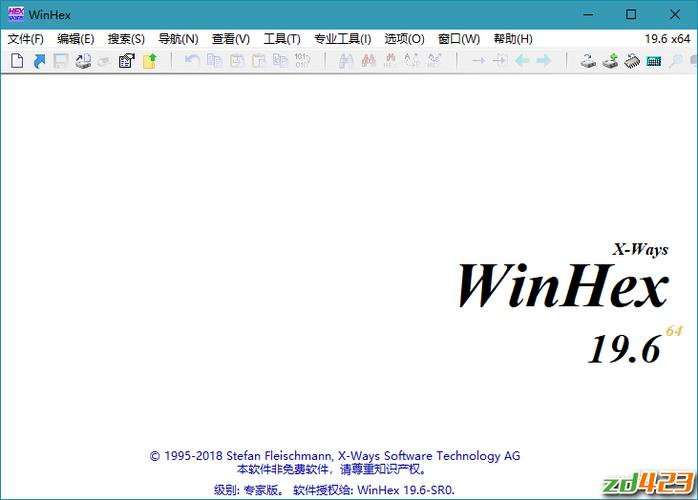 winhex下载（winhex安装）