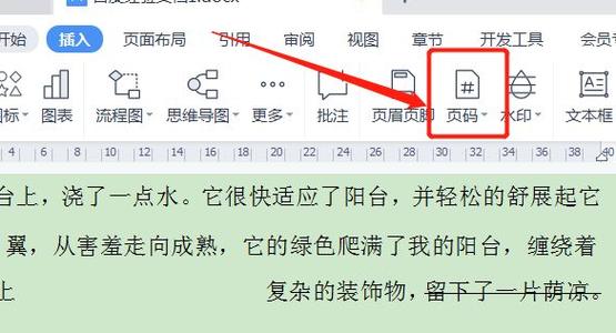 word页码设置（word页码设置在哪里）