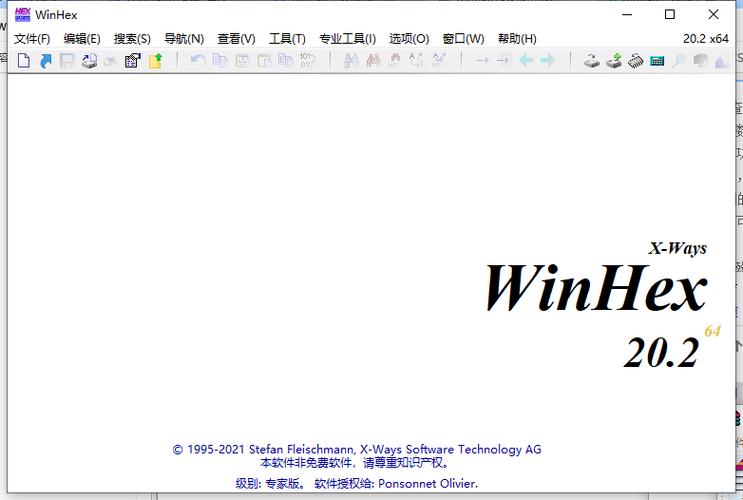 winhex下载（winhex如何安装）