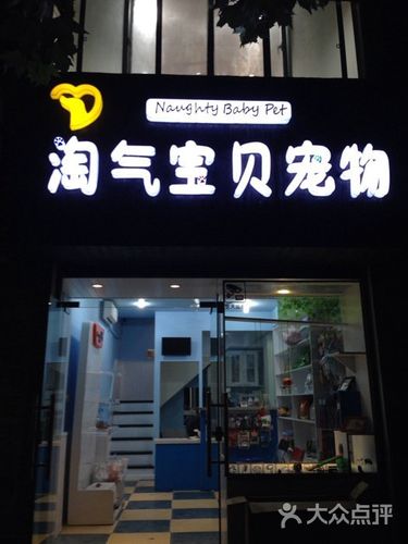 宠物店货车价格:宠物店的宠物货源从哪里来