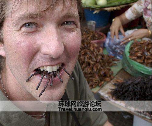 疯狂蜘蛛宠物零食:疯狂蜘蛛怪