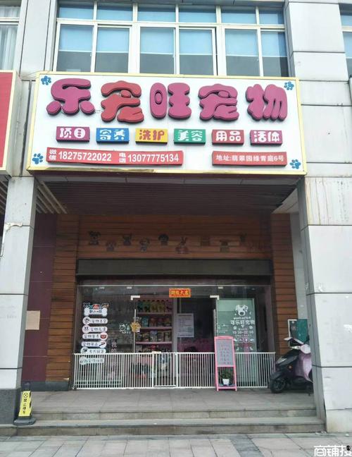 揭阳宠物市场地摊:揭阳市宠物店哪个比较好