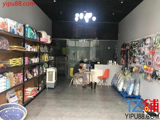 揭阳宠物市场地摊:揭阳市宠物店哪个比较好