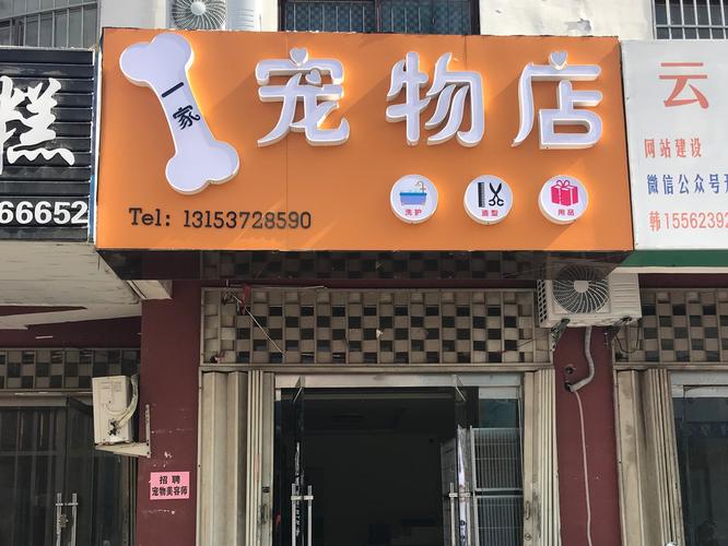 济宁宠物零食店地址:济宁宠物店济宁宠物服务信息