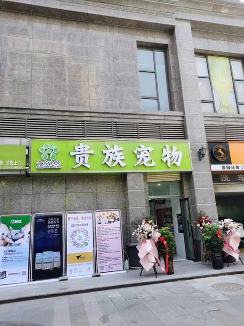 宠物用品小型商店:宠物用品店一般卖什么