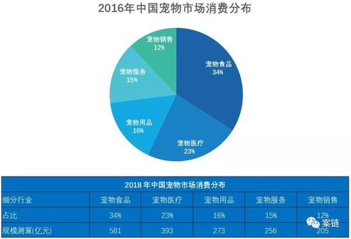 宠物市场盛大招商:大型宠物市场