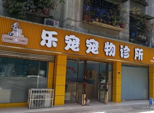 湖南乐宠宠物用品店地址:湖南乐宠宠物用品店地址在哪里