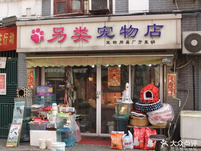 静海的宠物市场:静海哪有宠物店