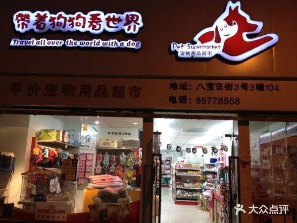 静海的宠物市场:静海哪有宠物店