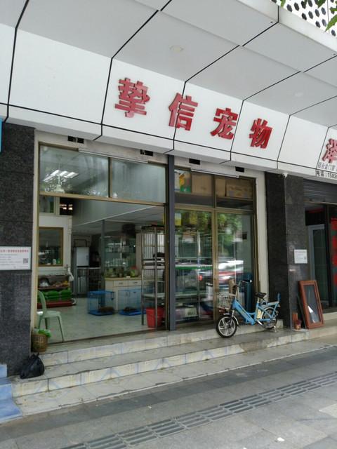 广东的佛山宠物市场:佛山哪里卖宠物