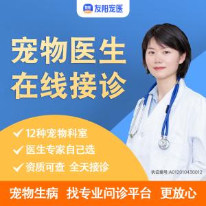 宠物疾病诊治价格:宠物疾病在线咨询