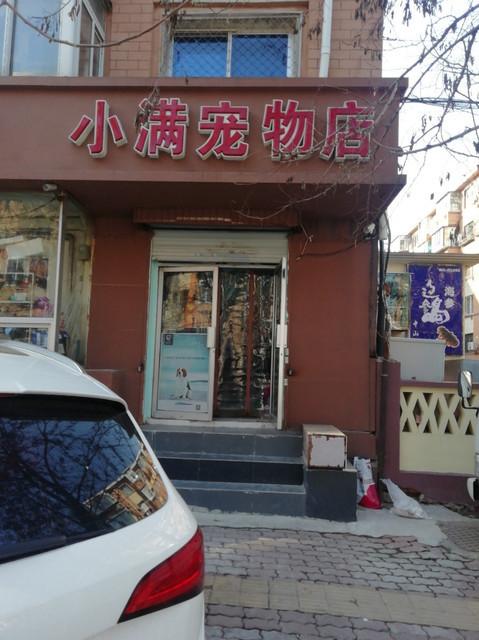 宠物市场附近历城:济南历城区宠物店哪家好