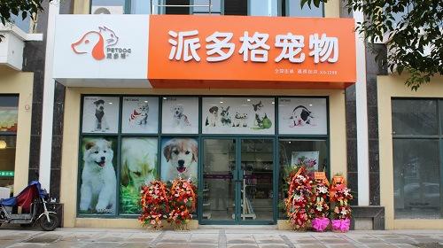 宠物市场附近历城:济南历城区宠物店哪家好