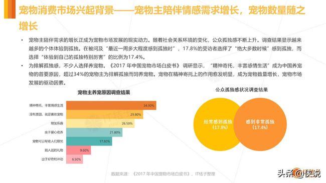 宠物市场背后:宠物行业市场