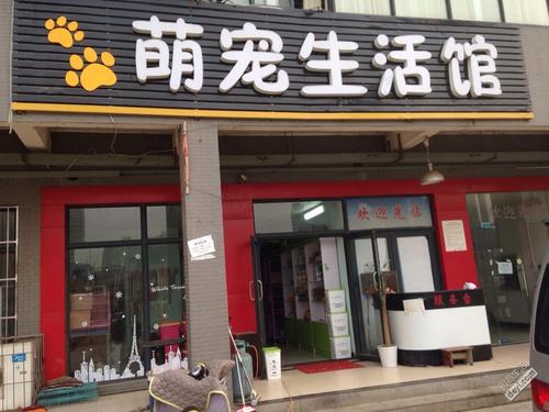 宠物市场在新余哪里:新余市宠物店