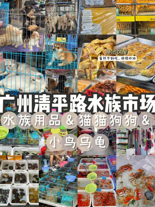 清平路宠物用品批发:清平宠物市场