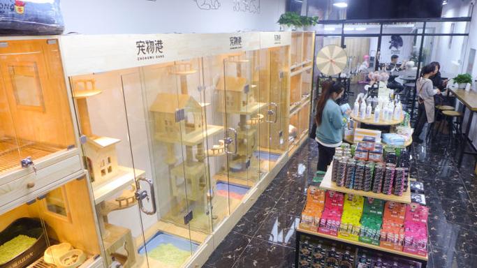 通州附近哪有宠物市场:北京通州宠物店推荐