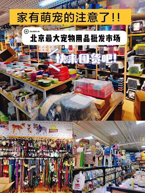 河北宠物市场app:河北宠物用品批发市场在哪里