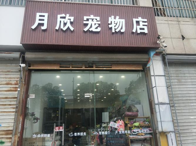 昆山宠物市场在哪:昆山宠物店在哪里