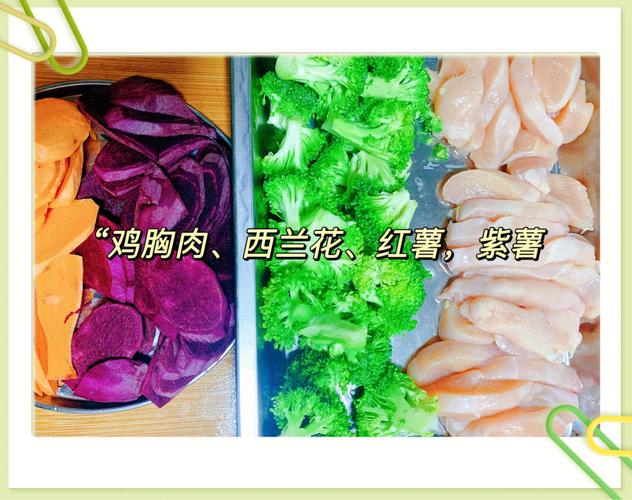 宠物零食烘干流程:宠物零食烘干流程视频