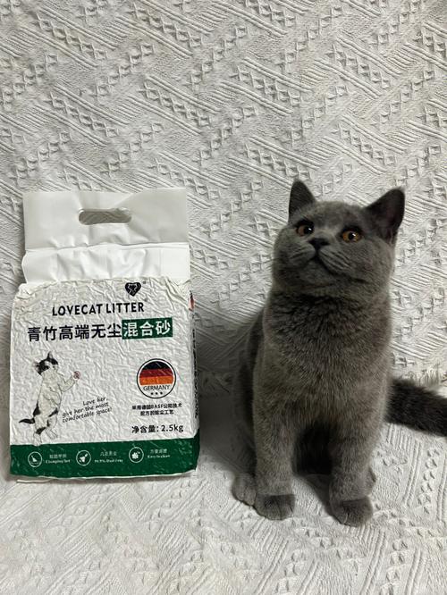 宠有家宠物用品猫砂:宠爱有家宠物生活馆