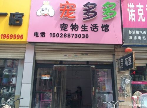 宠物市场宠多多宠物店:多多宠物门诊