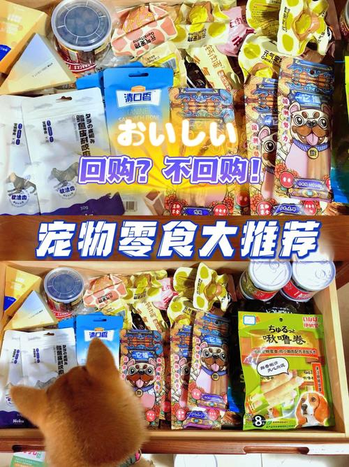 郑州租房宠物零食推荐:郑州宠物生活