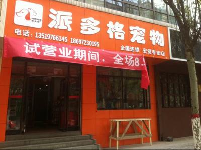 西宁有几家宠物市场:西宁宠物店地址查询