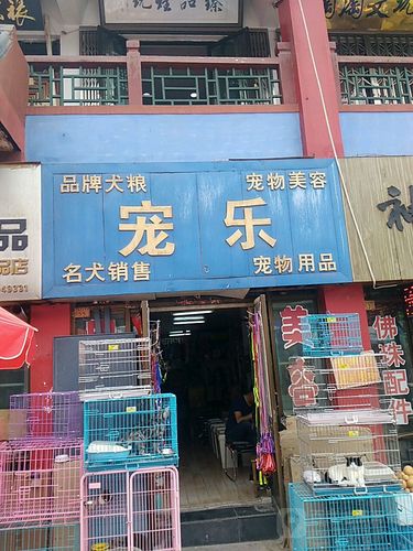 西宁有几家宠物市场:西宁宠物店地址查询