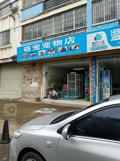 小港镇宠物用品:港口区宠物店