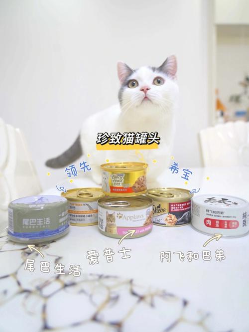 江苏猫罐头宠物零食哪里买:猫罐头批发在哪里