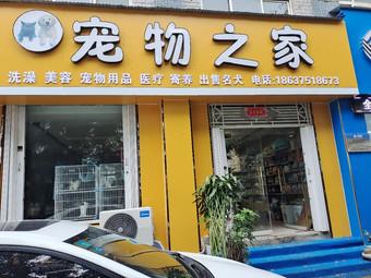 宝丰县宠物用品:宝丰县宠物用品批发市场